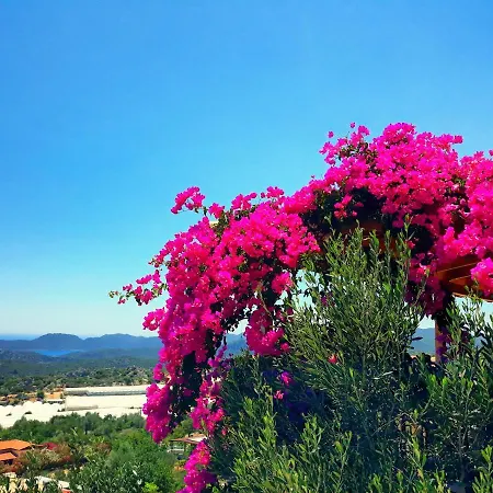 Istlada Tas Ev - Kekova View Guest house