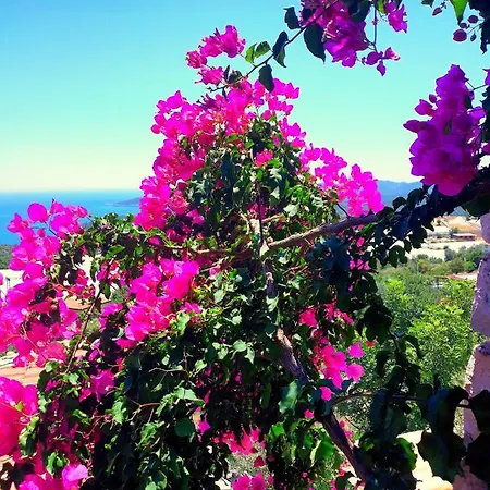 Pensjonat Istlada Tas Ev - Kekova View
